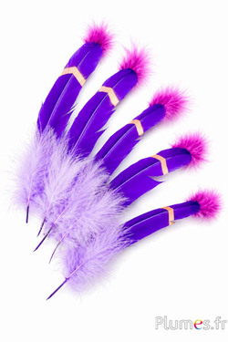 Gans - indianenveer - 30-35 cm - paars